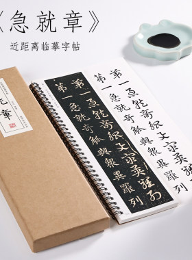 纸中作乐皇象急就章草书