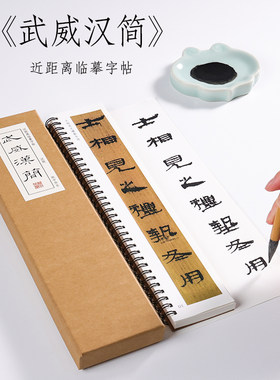 秦汉简牍 隶书 《武威汉简》竹简木简文毛笔书法初学者成人基础入门近距离临摹字帖 纸中作乐