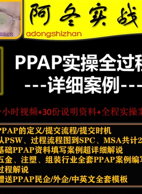 汽车行业办公族如何提交PPAP资料生产件批准全套模板案例实操