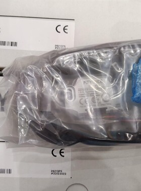 keyence基恩士安全门锁GS-13P5  GS-11P5