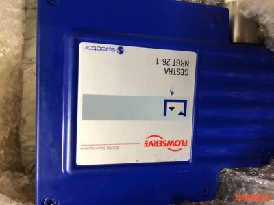 Gestra NRGT 26-1S,1475mm,液位电极,