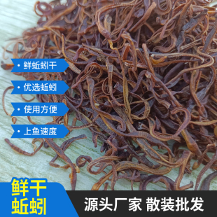 钓鱼鲜蚯蚓干鲫鲤草鳊饵料添加开口好诱鱼迅速蚯蚓腥味鱼饵料