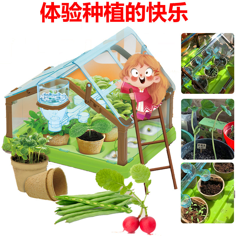 科答鸭可达鸭种植吧阳光房玩具儿童植物小学生科学实验手工diy