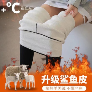外穿秋冬季 子女 保暖高腰提臀收腹弹力加绒加厚羊羔绒鲨鱼皮打底裤