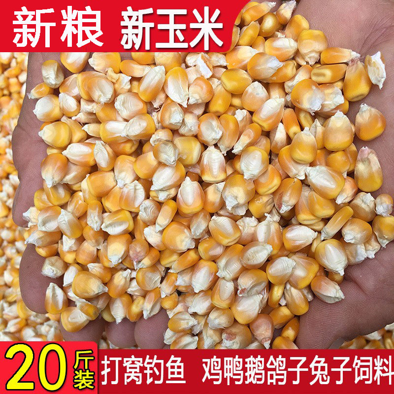 农家玉米粒饲料新苞米粒杂粮鸡鸭鸽子宠物鼠类钓鱼打窝20斤装包邮