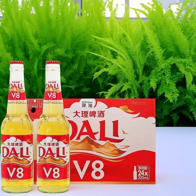 大理v8啤酒淡啤老牌经典拉格整箱