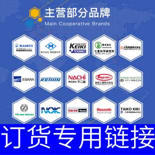 FF-SA1FA200CN100AOD HORIUCHI崛内油缸 CJT70-LA32B1000B-ABD-20