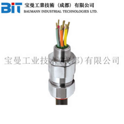 英国CMP进口格兰头PX2KREX铠装电缆胶泥电缆防爆密封接头防洪涌