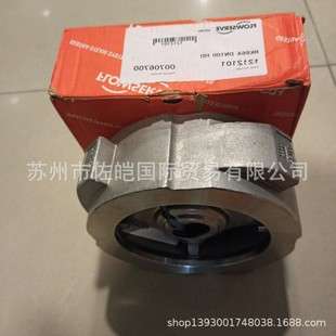 德国gestra杰斯特拉 RK86A DN100型单向阀对夹止回阀