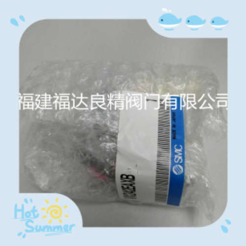 SMC电磁阀 VX213BZ2AXB VX242EAXB