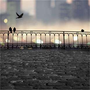 R911320211 KSM01.2B-061C-35N-M1-HP0-SE-NN-D7-NN-FW_欧洲