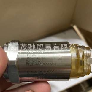 EH FTL31-AA1U2AAWBJ 音叉物位计