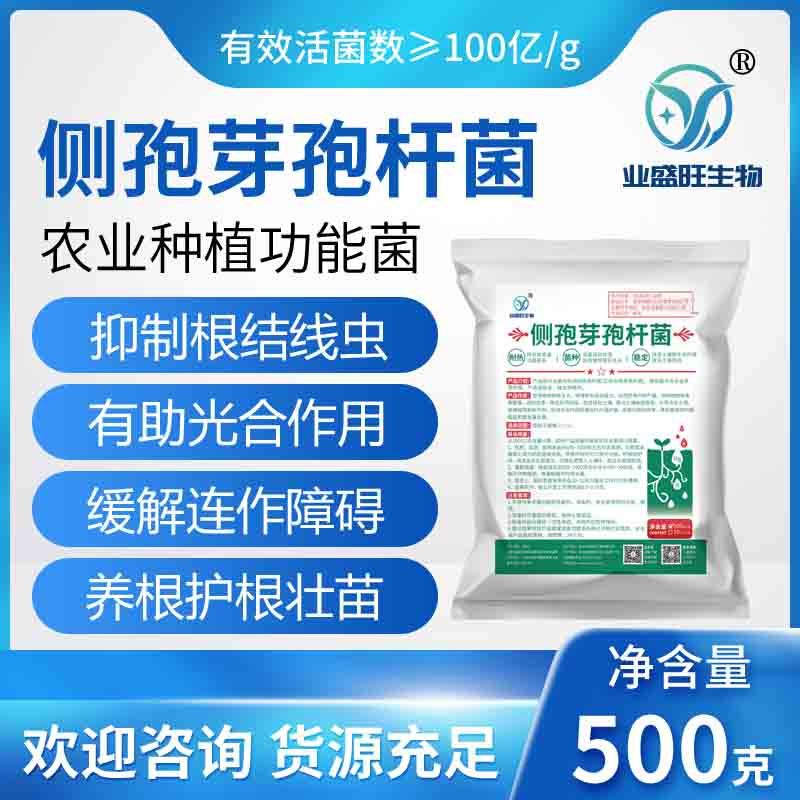 侧孢芽孢杆菌业盛旺生物净化水质