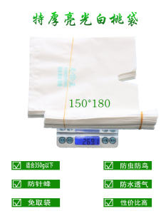 鹰嘴水蜜桃青桃套袋桃子专用加厚亮光透明防水虫鸟防针蜂桃育果袋