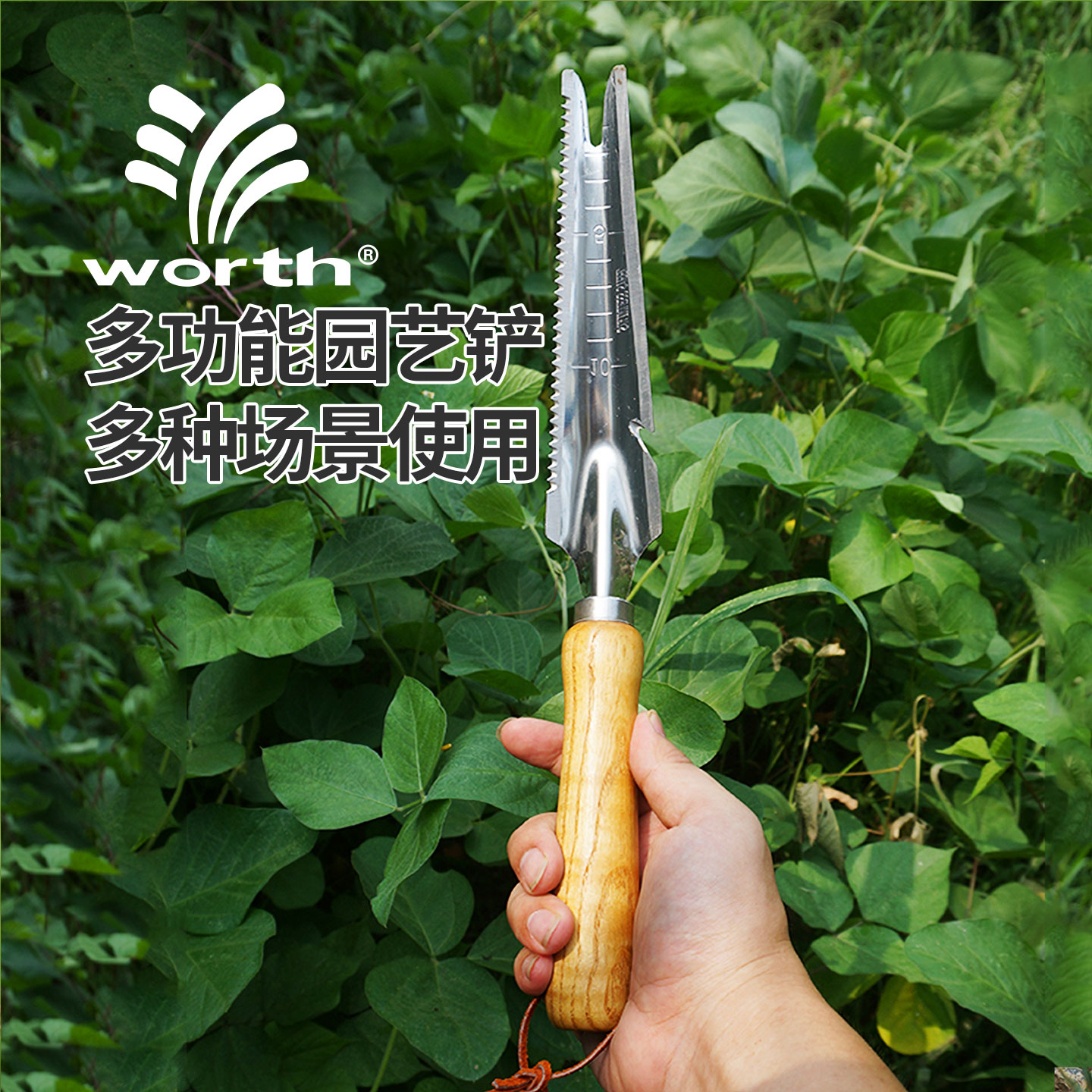 沃施worth园艺不锈钢铲子家用种花除草松土换盆移栽挖野菜连根铲