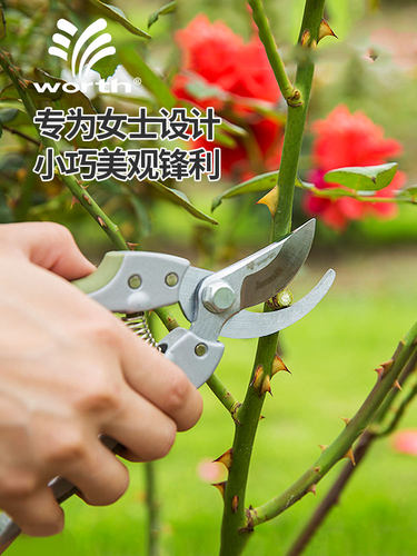 沃施worth园艺家用修枝剪盆栽绿植修剪树枝花枝剪花艺剪鲜花剪刀