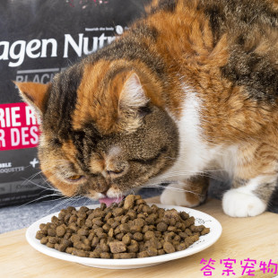 1磅 铝箔分装 Hagen Nutrience哈根纽翠斯黑钻天然无全猫粮 红肉