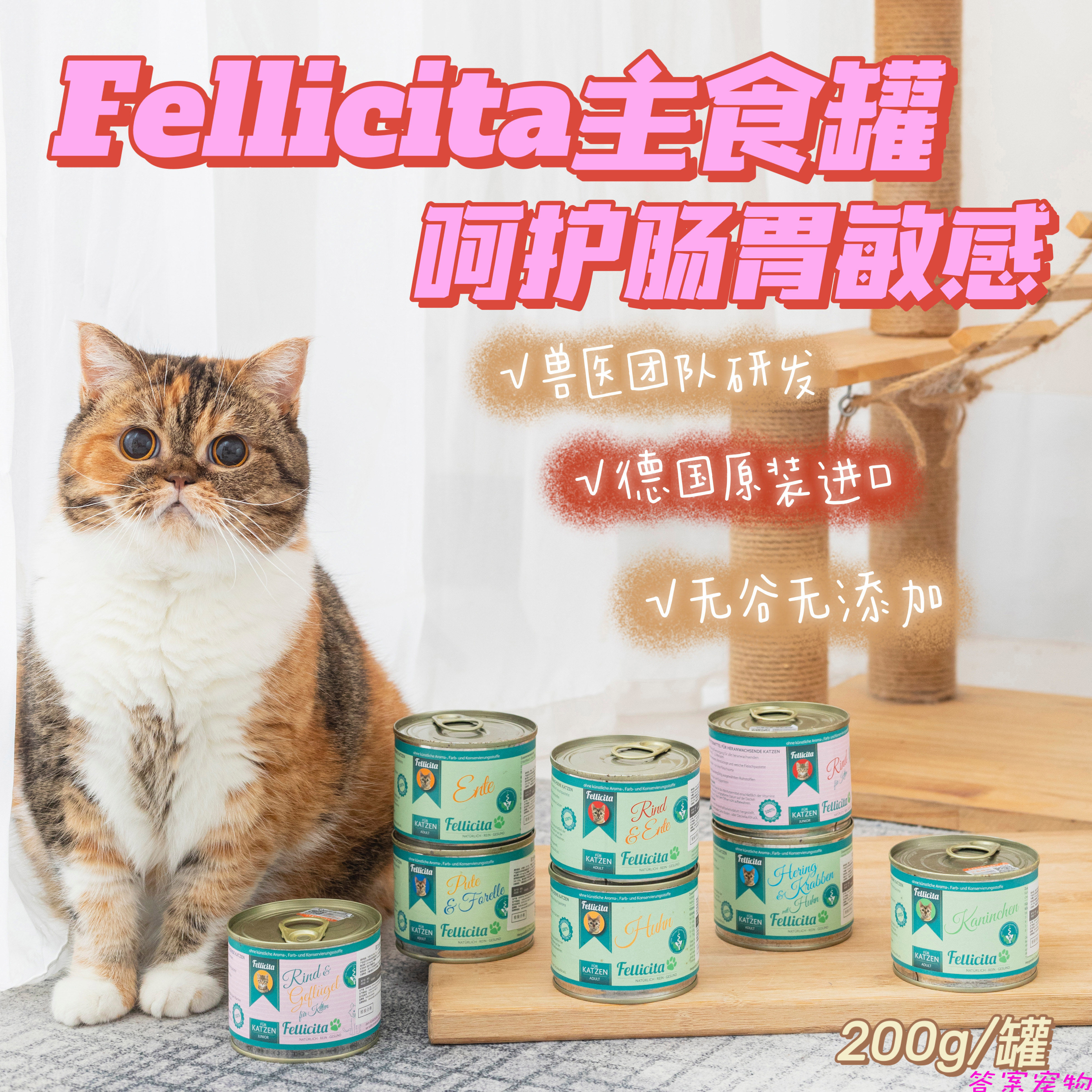 德国fellicita菲菲主食猫罐鸡肉兔肉幼猫牛肉鲱鱼猫罐头200g 6罐-答案 