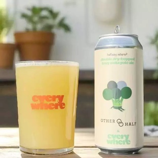 新鲜到货美国Everywhere艾薇儿艾微儿浑浊IPA啤酒473ML6罐组合