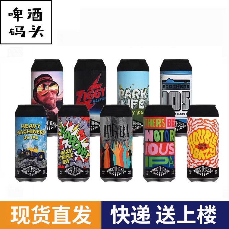 新西兰进口奇异兄弟精酿啤酒新西兰酒花皮尔森IPA组合6罐