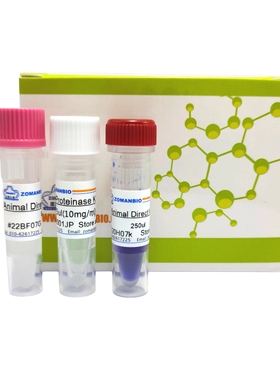 PCR教学试剂盒教学用PCR试剂盒带800bp片段模板引物高中大学教学
