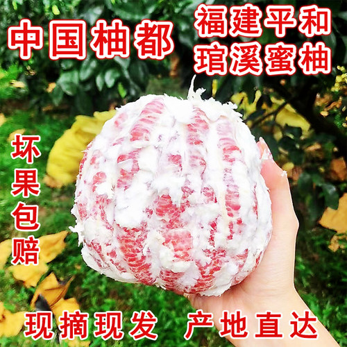 福建平和琯溪三红蜜柚当季新鲜水果正宗红肉密5.5斤10斤红心柚子