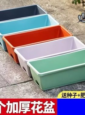 加厚阳台长条种菜盆家用长方形种菜箱霍仑盆蔬菜种植塑料花盆特大