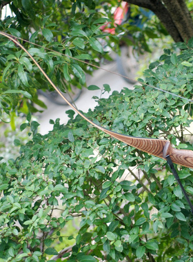 德国进口熊爪Bearpaw30073彩色科技木把反曲美式猎弓美猎一体长弓