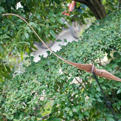 德国进口科技美式猎弓