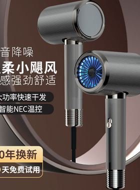 丽科大功率快速干发蓝光护发吹风