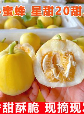正宗山东小蜜蜂甜瓜星甜20蜜罐甜瓜新鲜水果香瓜蜜瓜现摘小甜瓜