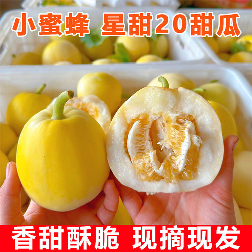 小蜜蜂甜瓜现摘现发坏果包赔