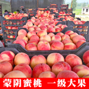 现摘毛桃孕妇水蜜桃金秋红蜜5斤 新鲜水果水蜜桃蒙阴桃子整箱当季