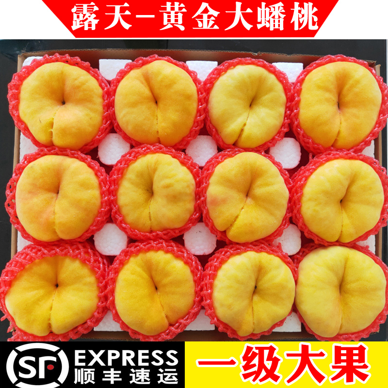 蒙阴黄蟠桃纯甜大果现摘现发