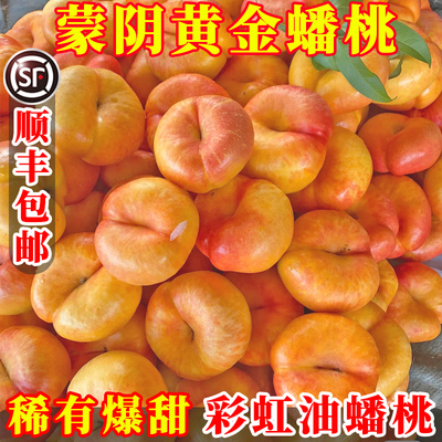 蒙阴黄金油蟠桃现摘现发