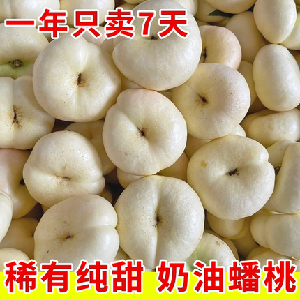 新鲜水果奶油油蟠桃蒙阴当季整箱油蟠桃大果脆桃扁桃蟠桃孕妇桃子