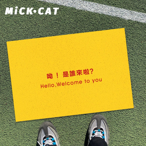 原创小众设计入户门地垫丝圈定制