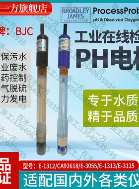E-1312美国BJC工业PH电极CA92618在线PH探头E-3055 BROADLEYJAMES
