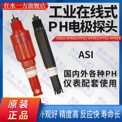 HT61-AP891工业PH电极HT61-AP893