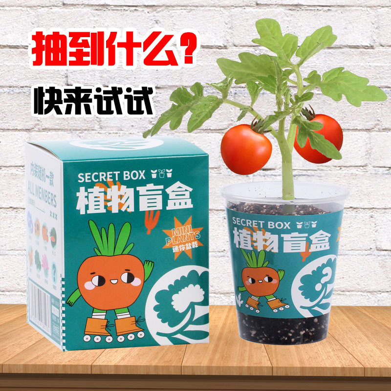 儿童种植小盆栽盲盒迷你幼儿园小学生植物生长观察发芽种子种植盒 家居饰品 仿真植物盆景 原图主图