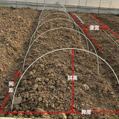 专用新型骨架农用拱棚种菜防虫网拱杆支架小菜地#遮阳暖棚育棚架