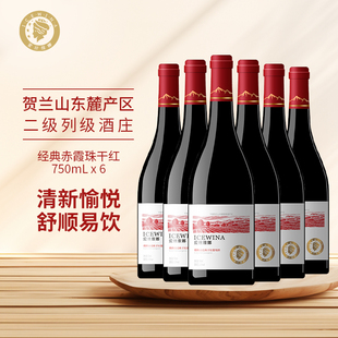 宁夏贺兰山经典赤霞珠干红葡萄酒东麓产区整箱红酒橡木桶陈酿18月