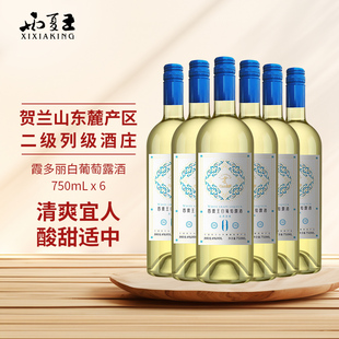 西夏王白葡萄露酒750ml宁夏农垦贺兰山东麓产区国产低度国企出品