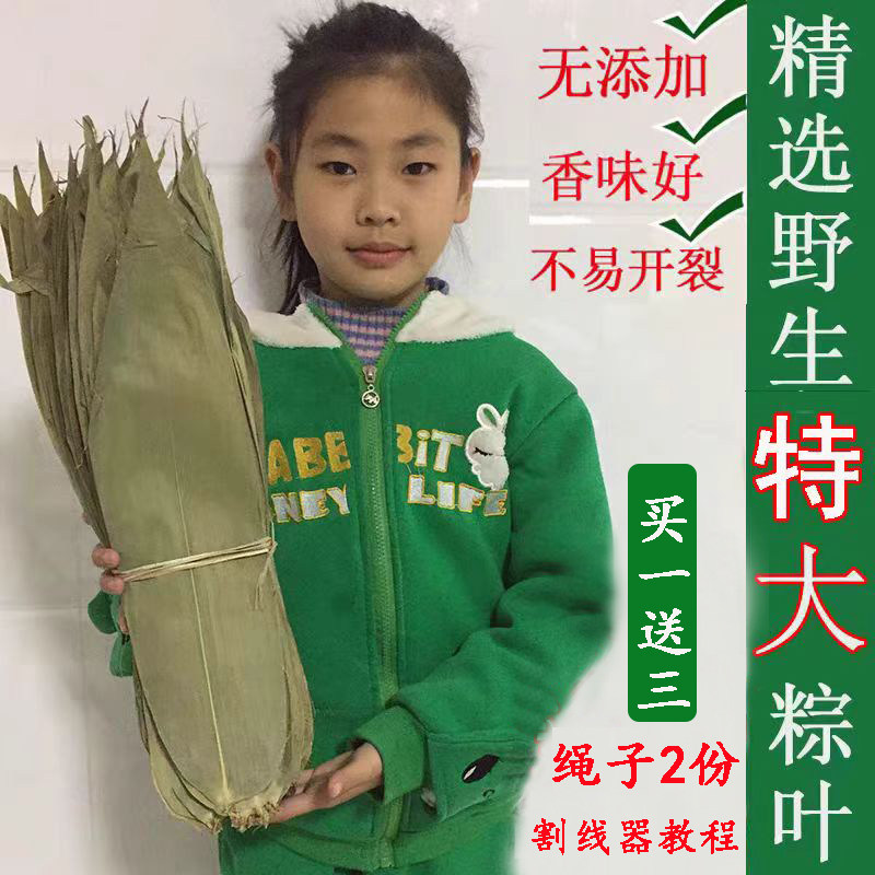 粽子叶新货粽叶干大号新鲜农家野生特大干粽叶子箬竹叶晒干100片