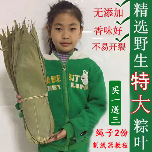 粽子叶新货粽叶干大号新鲜农家野生特大干粽叶子箬竹叶晒干100片