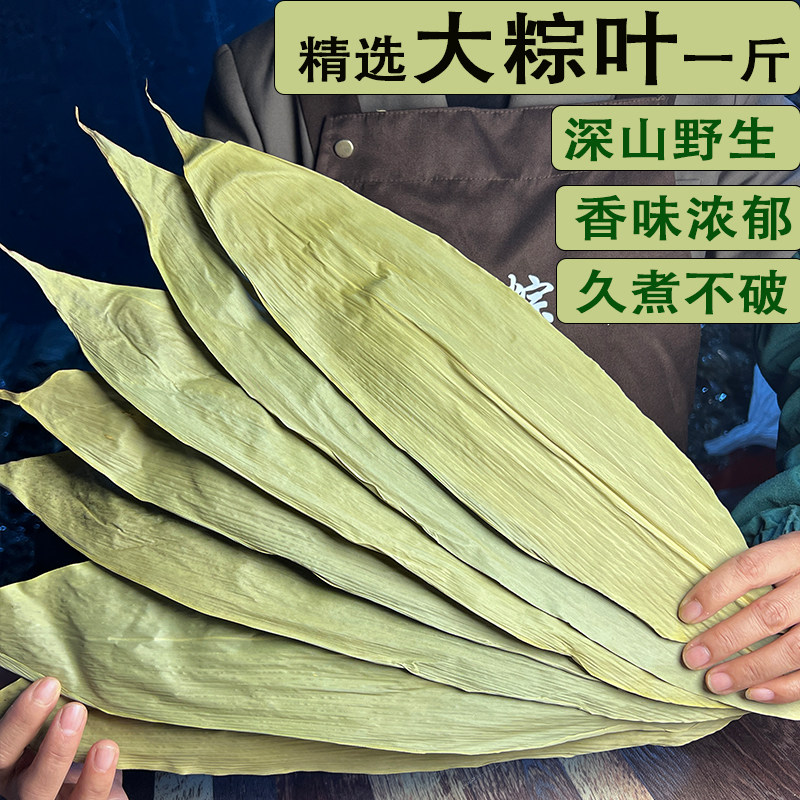 野生大粽叶干粽叶大号新鲜粽子叶家用粽叶包粽子专用竹叶棕叶新叶