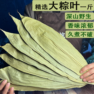 野生大粽叶干粽叶大号新鲜粽子叶家用粽叶包粽子专用竹叶棕叶新叶