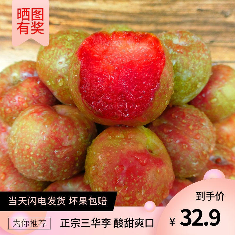 广东三华李 当季水果李子新鲜孕妇水果红心李酸甜现摘青李子5斤装