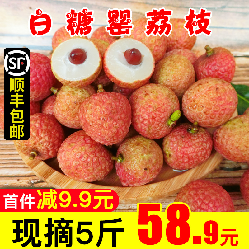 【顺丰包邮】荔枝广东白糖罂5斤装新鲜无核时令孕妇水果当季现货
