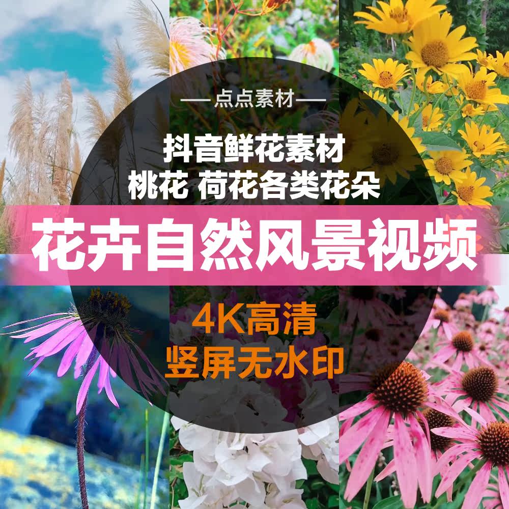 桃花含苞待放美景迷人粉嫩花朵绽放靓丽抖音短视频剪辑素材怎么看?
